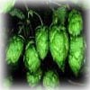 hop image